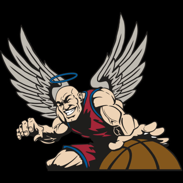 AR17 ANGEL BSKT 04 RQC Thumbnail