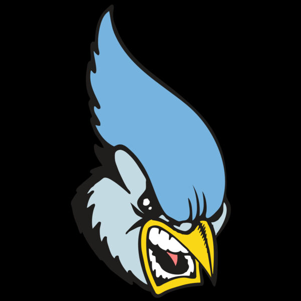 BAW BLUEJAY 05 RC Thumbnail