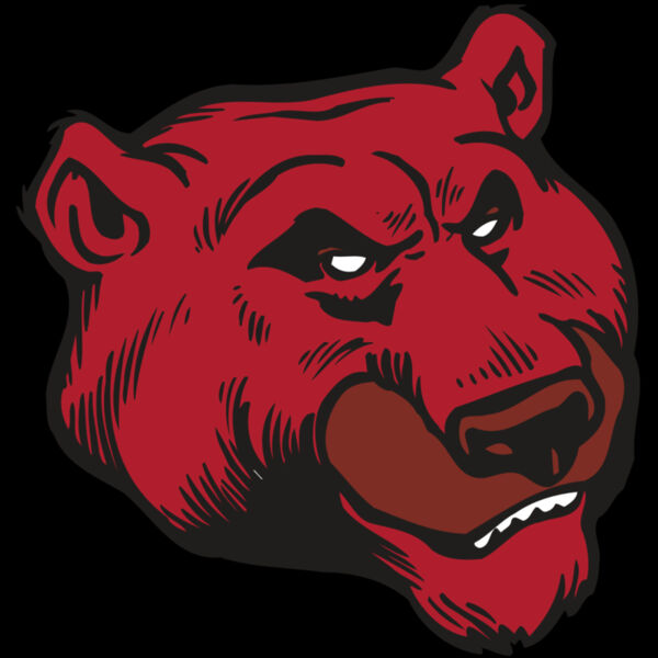 AR BEAR 10 RC Thumbnail