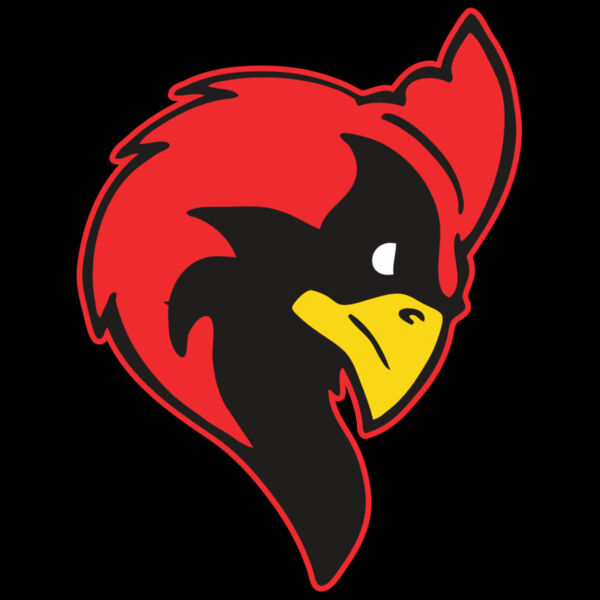 AR CARDINAL 24 RC Thumbnail