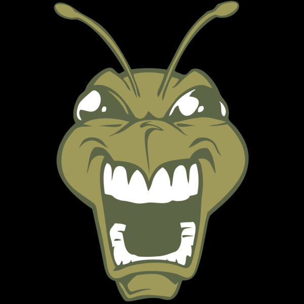 BAW BEE 13 RC Thumbnail