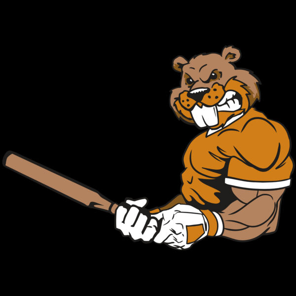 AR4 BEAVER 05 RQC Thumbnail