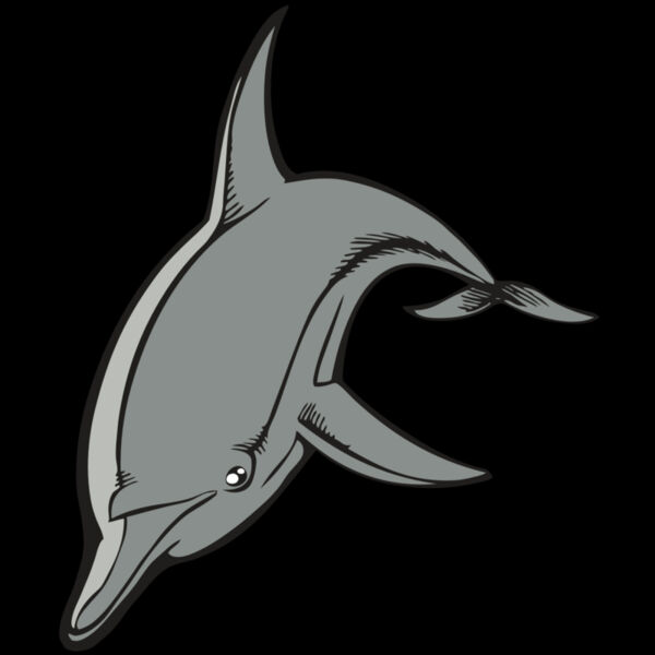 BAW DOLPHIN 03 RC Thumbnail