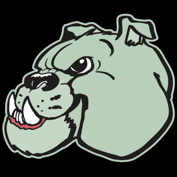 AR BDOG 29 RC Thumbnail