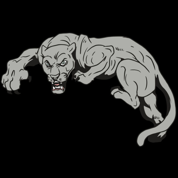 AR10 PANTHER 02 RQC Thumbnail