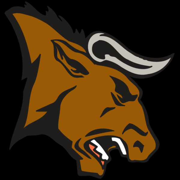 AR BULL 38 RC Thumbnail