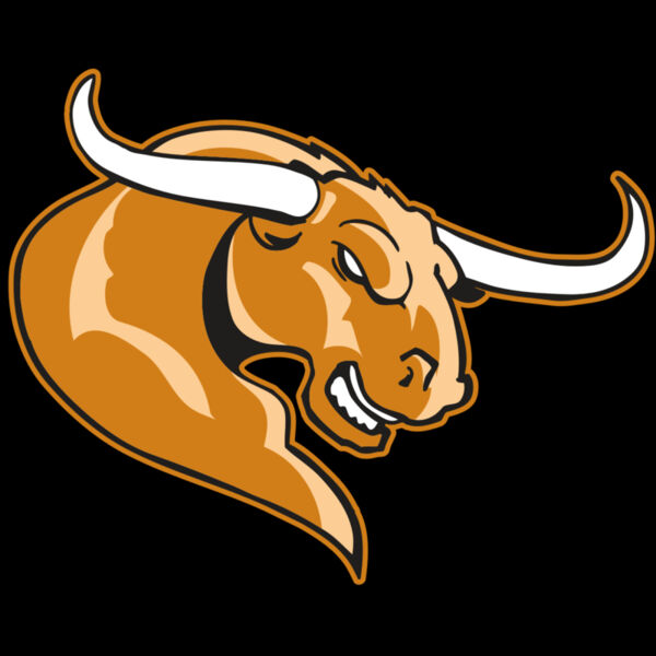 AR BULL 14 RC Thumbnail