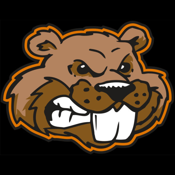 AR BEAVER 11 RC Thumbnail