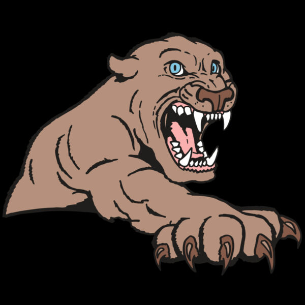 AR5 COUGAR 20 RQC Thumbnail