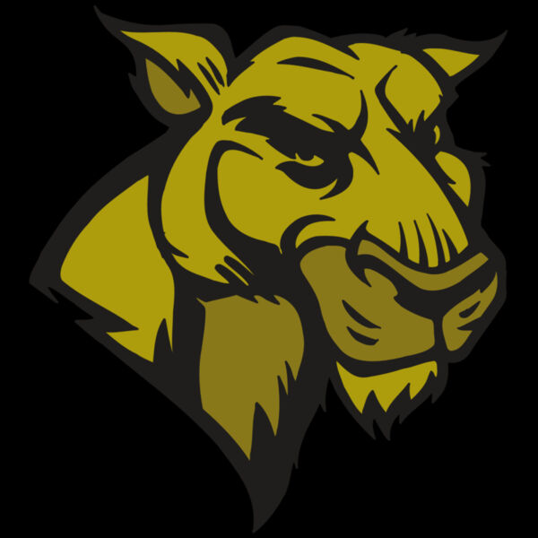 AR5 COUGAR 18 RQC Thumbnail