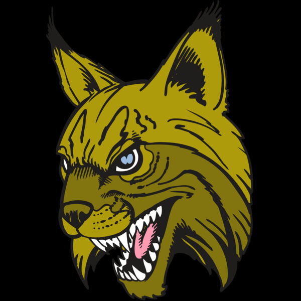 BAW BOBCAT 05 RC Thumbnail