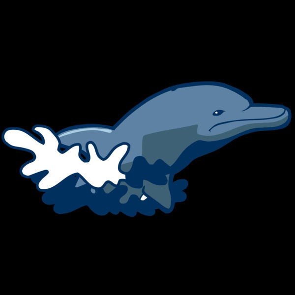 AR DOLPIN 10 RC Thumbnail