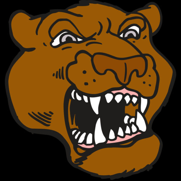 AR5 COUGAR 29 RQC Thumbnail