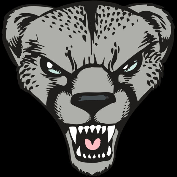 BAW CHEETAH 15 RC Thumbnail