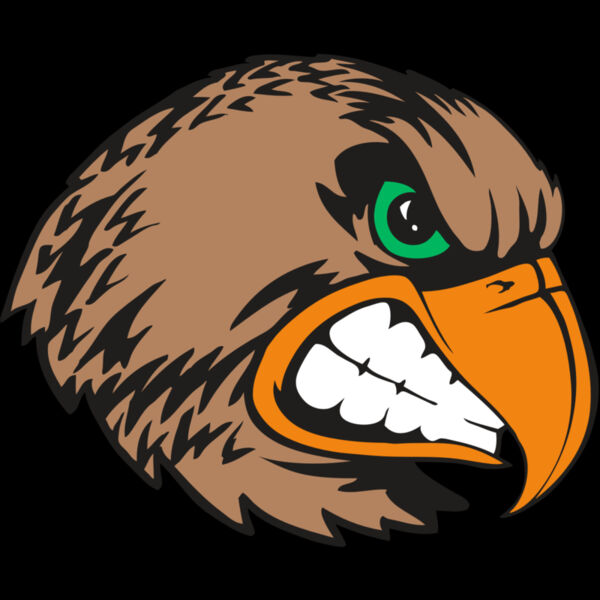 BAW HWK FLCN 09 RC Thumbnail