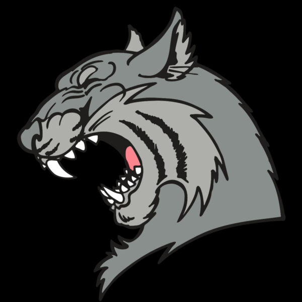 AR WILDCAT 41 RC Thumbnail