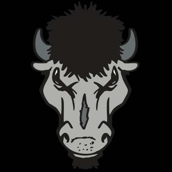 AR BUFFALO 15 RC Thumbnail