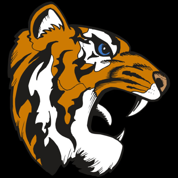 BAW TIGER 08 RC Thumbnail