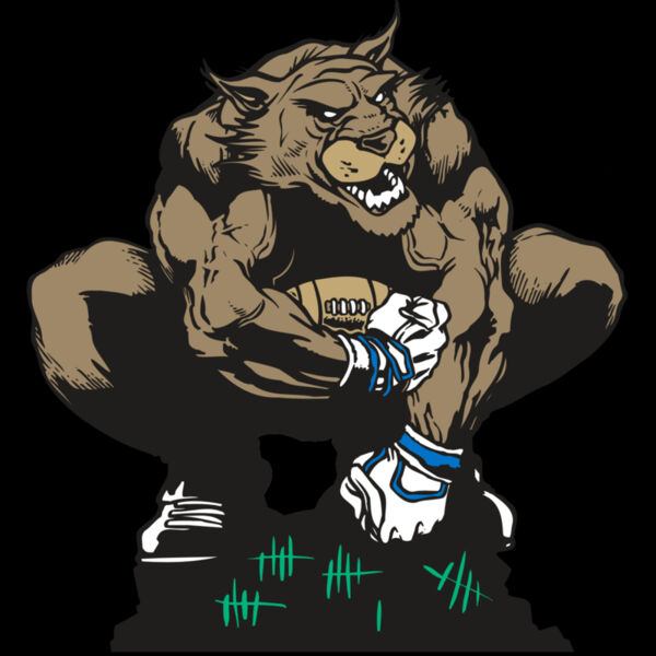 AR WILDCAT 34 RC Thumbnail