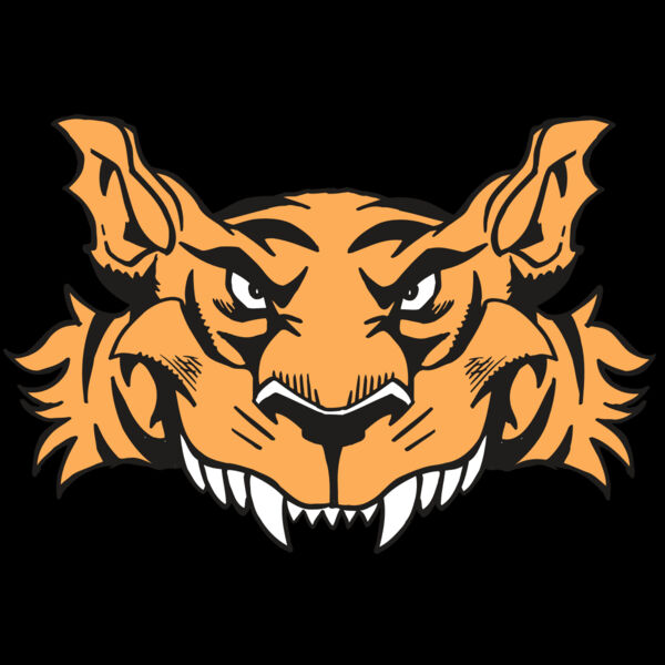 AR5 Tiger 07 RQC Thumbnail