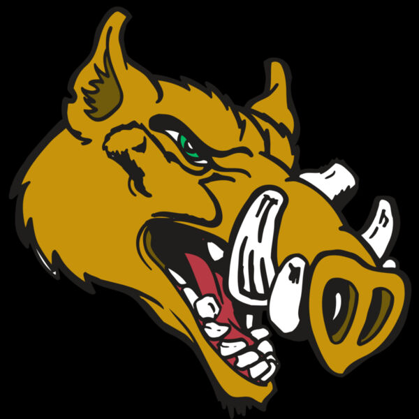 AR RAZORBACK 17 RC Thumbnail