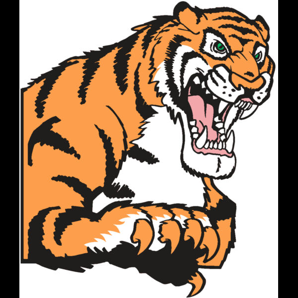 AR TIGER 10 RC Thumbnail