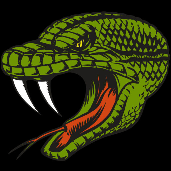 BAW SNAKE 14 RC Thumbnail