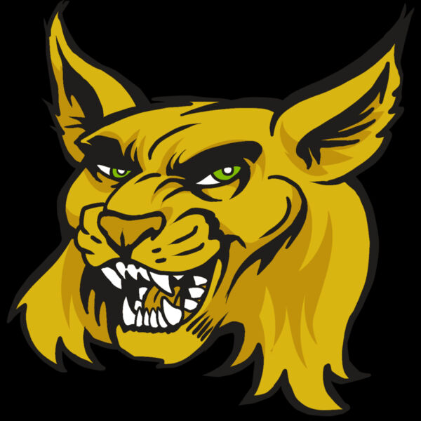 AR30 WILDCAT 03 RQC Thumbnail