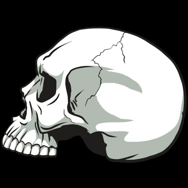 AR24 SKULL 11 RQC Thumbnail
