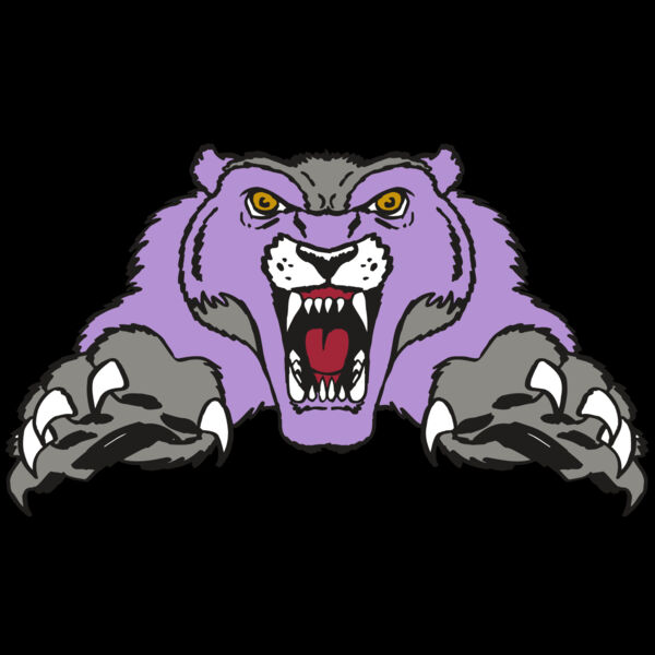 AR WOLVERINE 17 RC Thumbnail