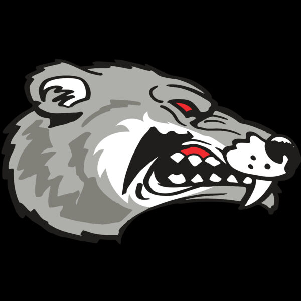 AR WOLVERINE 13 RC Thumbnail