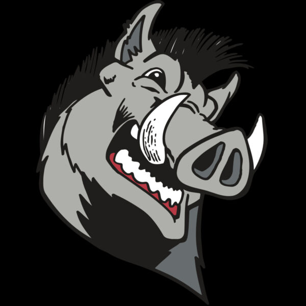 AR RAZORBACK 15 RC Thumbnail