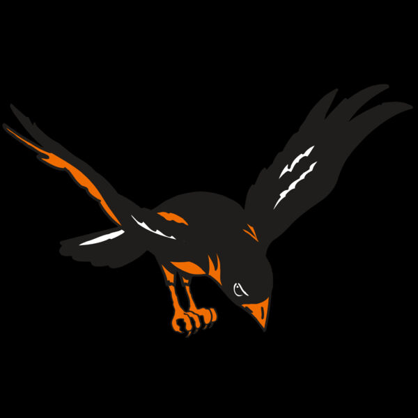 AR ORIOLE 16 RC Thumbnail