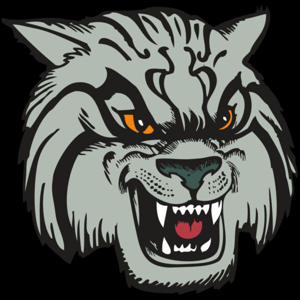 BAW WILDCAT 03 RC Thumbnail