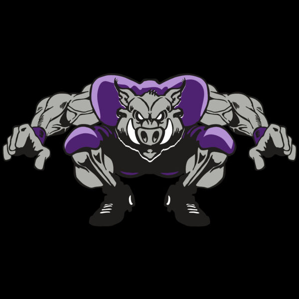 AR RAZORBACK 28 RC Thumbnail