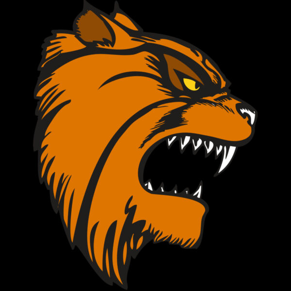 BAW WILDCAT 08 RC Thumbnail