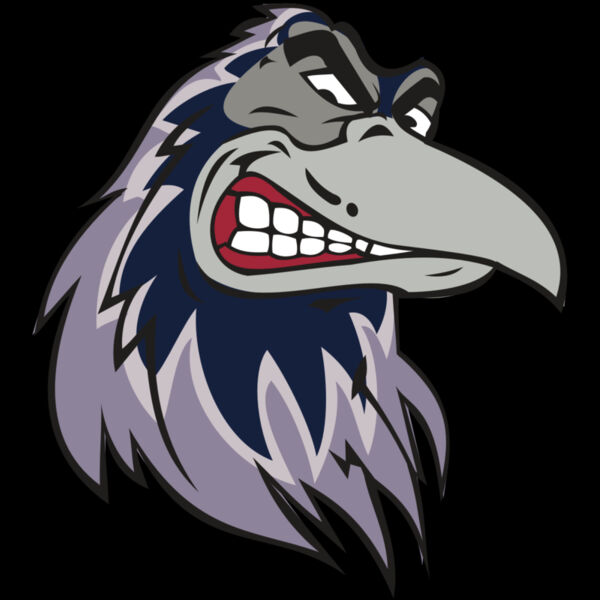 RAVEN HD0504 RQC Thumbnail