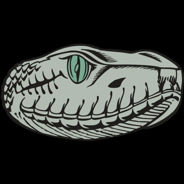 BAW SNAKE 10 RC Thumbnail