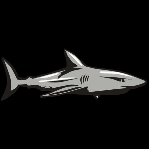 AR9 SHARK 01 RQC Thumbnail